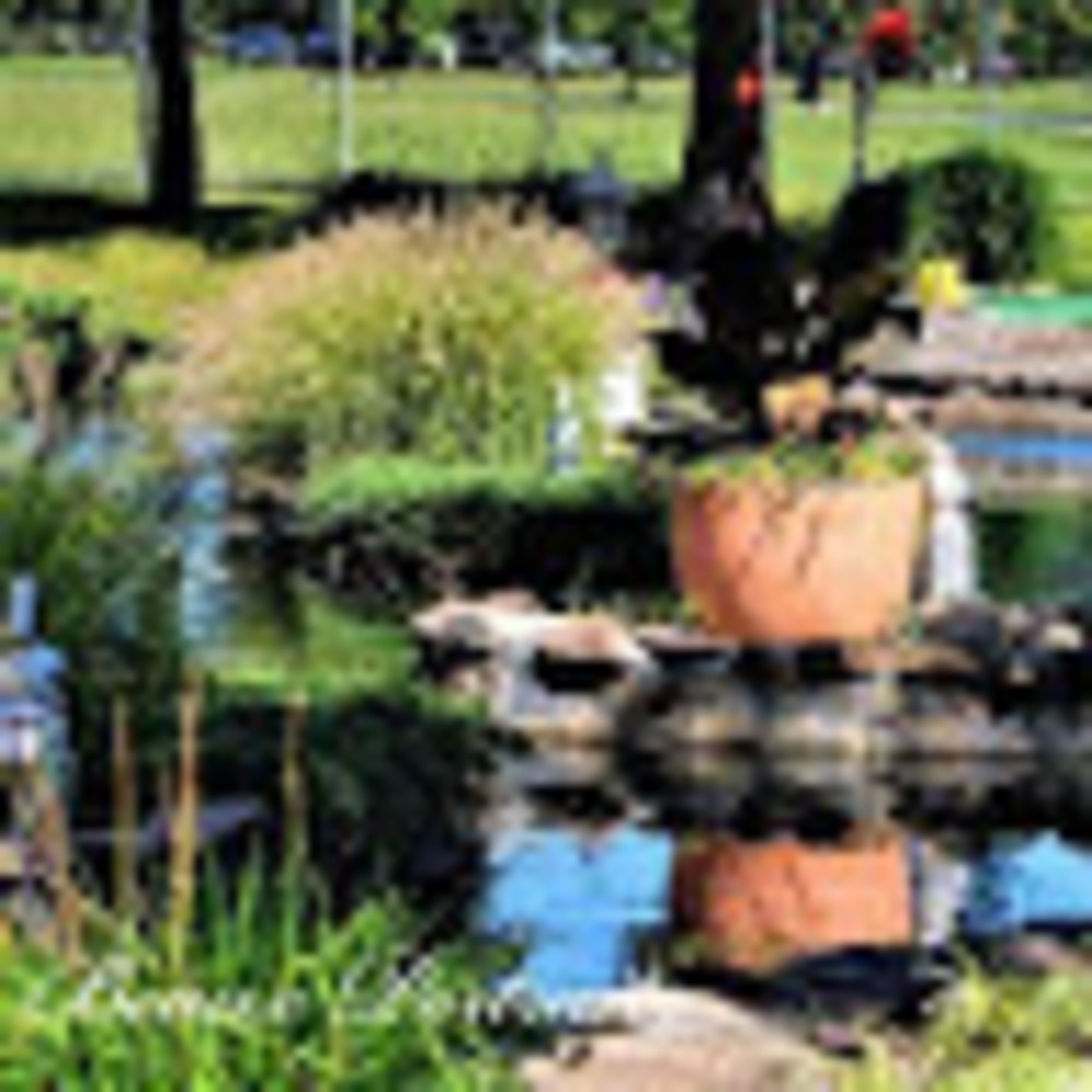 Meet your Posher, Patrick b